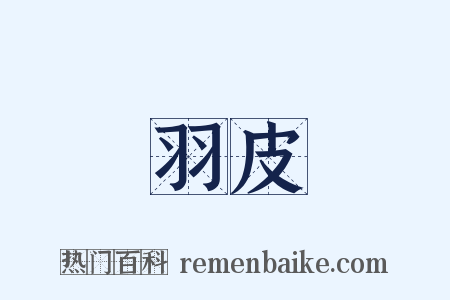 羽皮是什么意思的图片